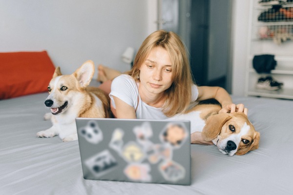 Creating a Fragrant Haven: Taming Pet Odors with the Peacock Plume Aroma Therapy Oil Warmer